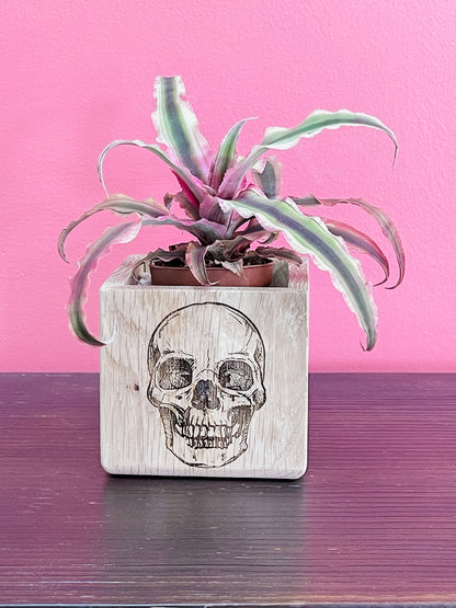 Succulent Planter, Wood Plant Holder, Please Don't Die Planter, Wood Planter, Cute Planter, Funny Plant, Cactus Holder, Custom Planter