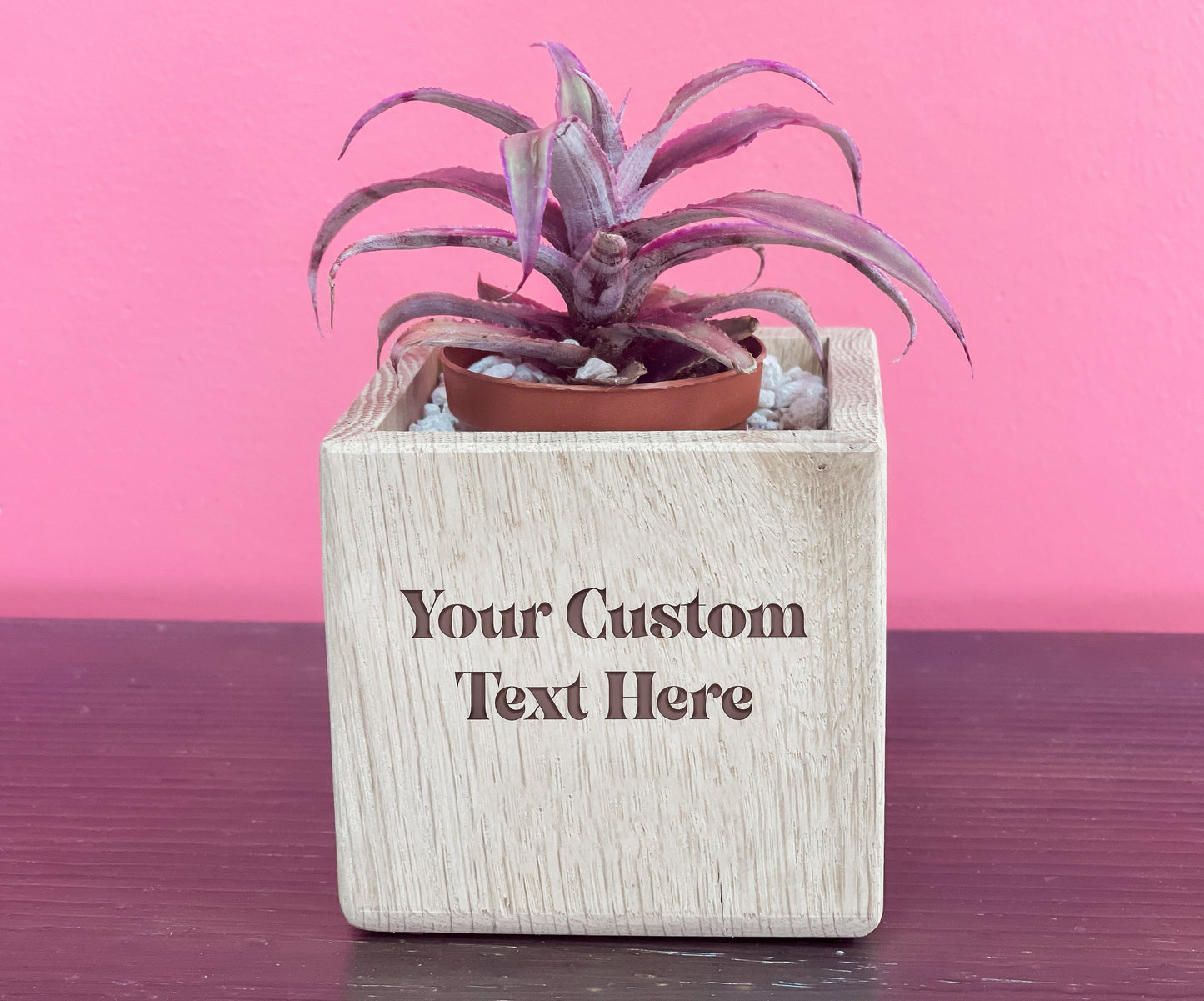 Succulent Planter, Wood Plant Holder, Please Don't Die Planter, Wood Planter, Cute Planter, Funny Plant, Cactus Holder, Custom Planter