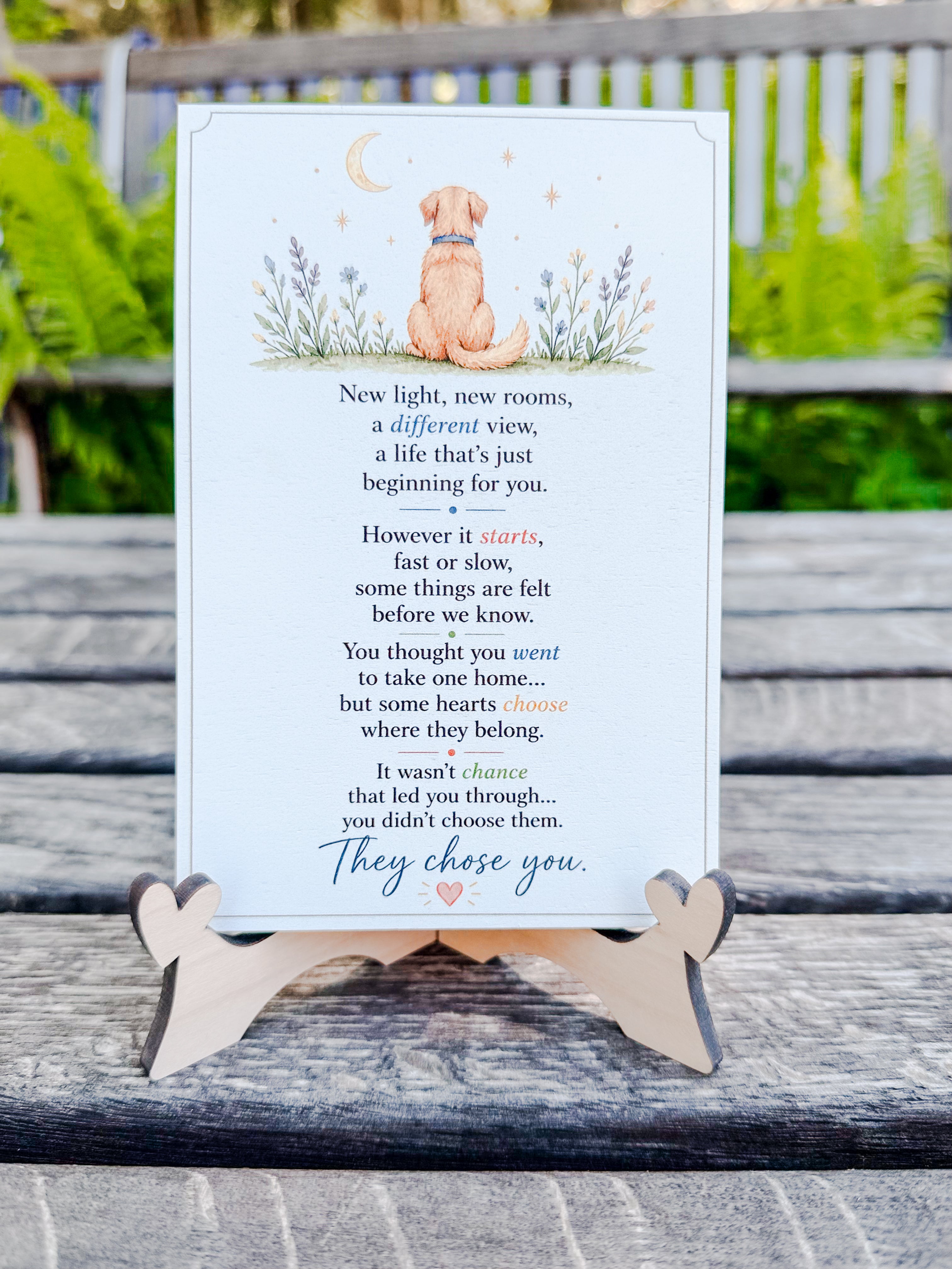 They Chose You (Dog)