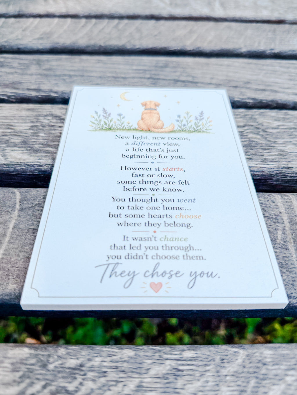 They Chose You (Dog)