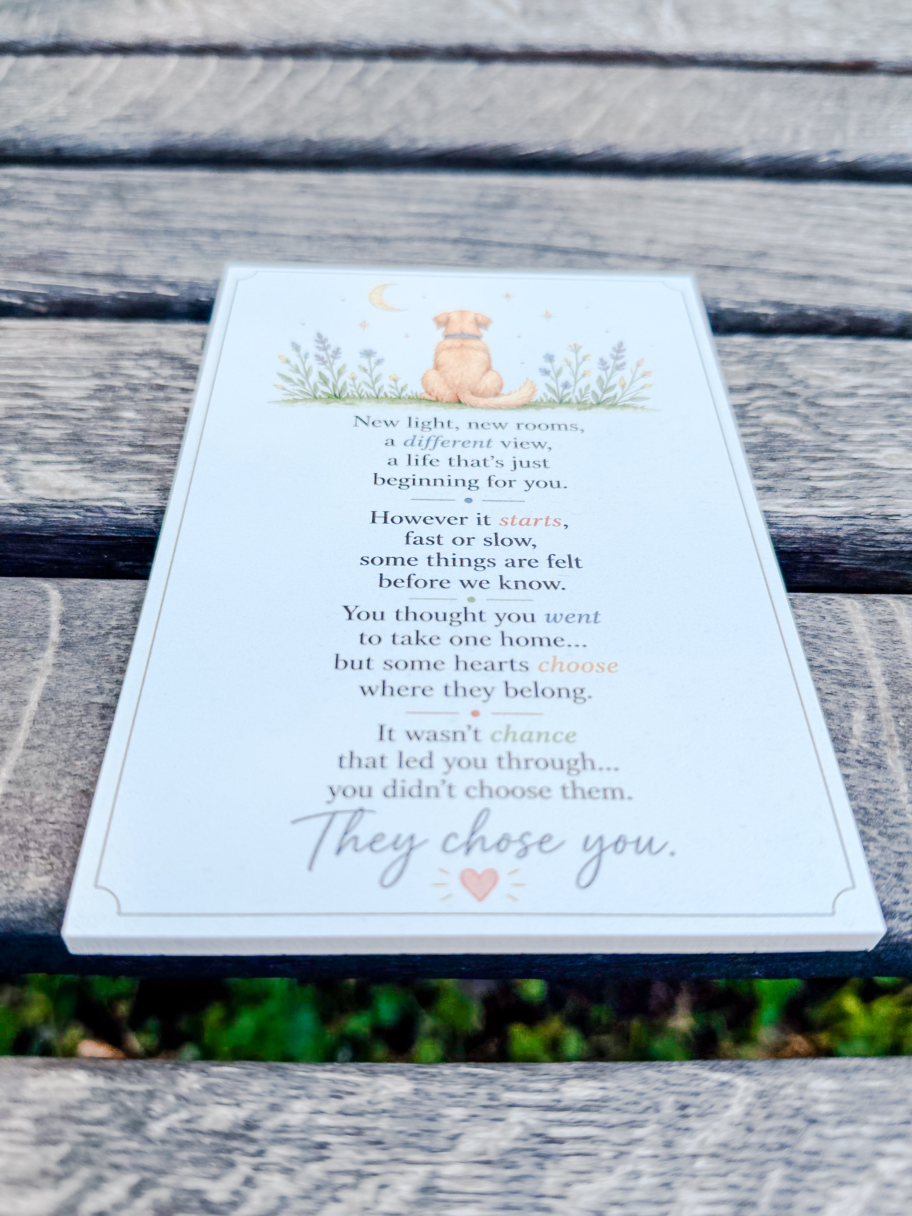 They Chose You (Dog)
