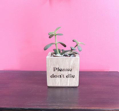 Succulent Planter, Wood Plant Holder, Please Don't Die Planter, Wood Planter, Cute Planter, Funny Plant, Cactus Holder, Custom Planter