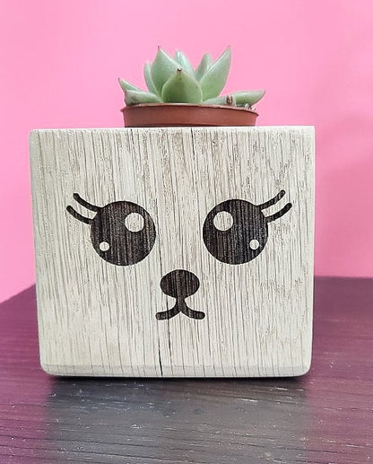 Succulent Planter, Wood Plant Holder, Please Don't Die Planter, Wood Planter, Cute Planter, Funny Plant, Cactus Holder, Custom Planter