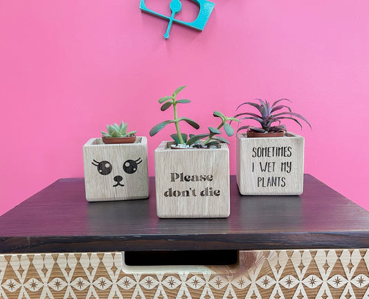 Succulent Planter, Wood Plant Holder, Please Don't Die Planter, Wood Planter, Cute Planter, Funny Plant, Cactus Holder, Custom Planter