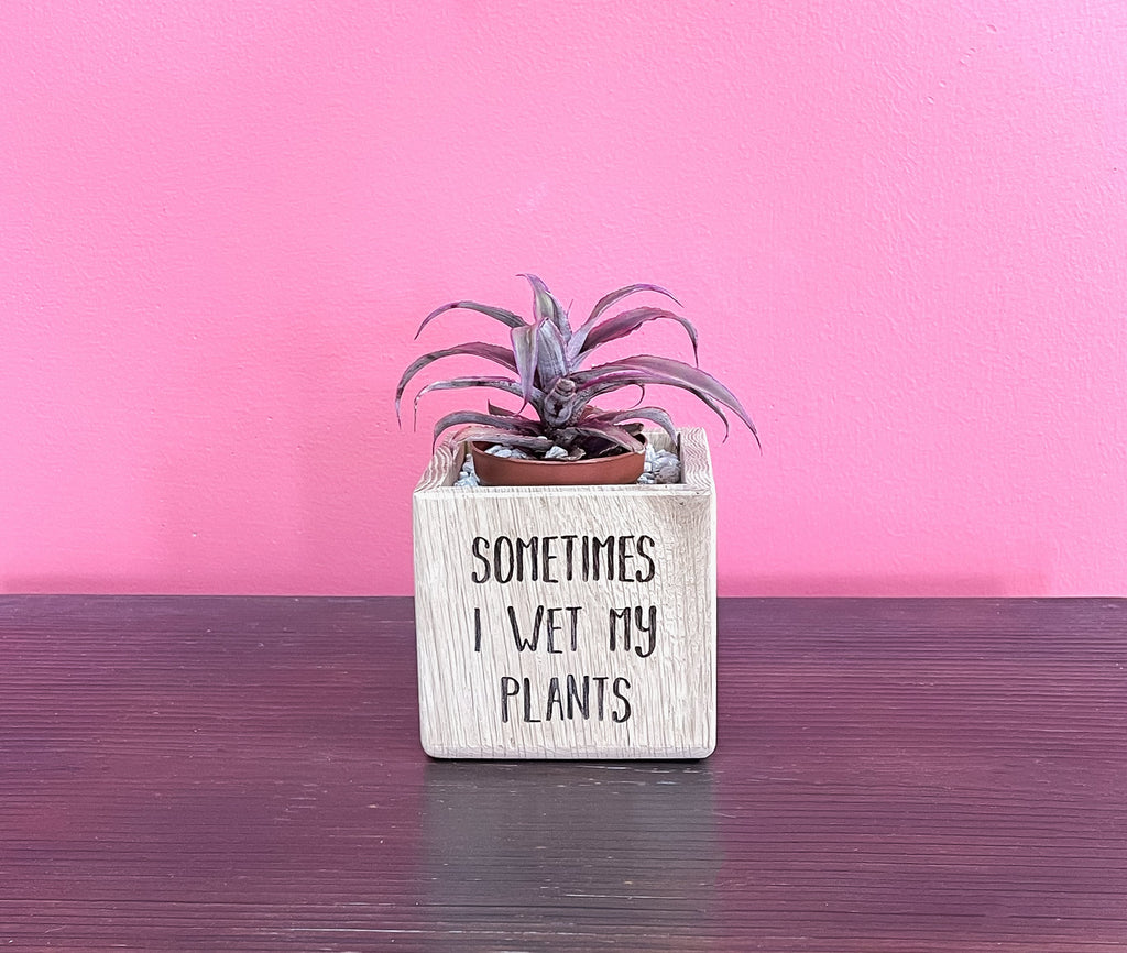 Succulent Planter, Recycled Wood Plant Holder, Sometimes I Wet my Plants, Wood Planter, Cute Planter, Funny Plant Holder, Cactus Holder,