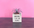 Succulent Planter, Recycled Wood Plant Holder, Sometimes I Wet my Plants, Wood Planter, Cute Planter, Funny Plant Holder, Cactus Holder,
