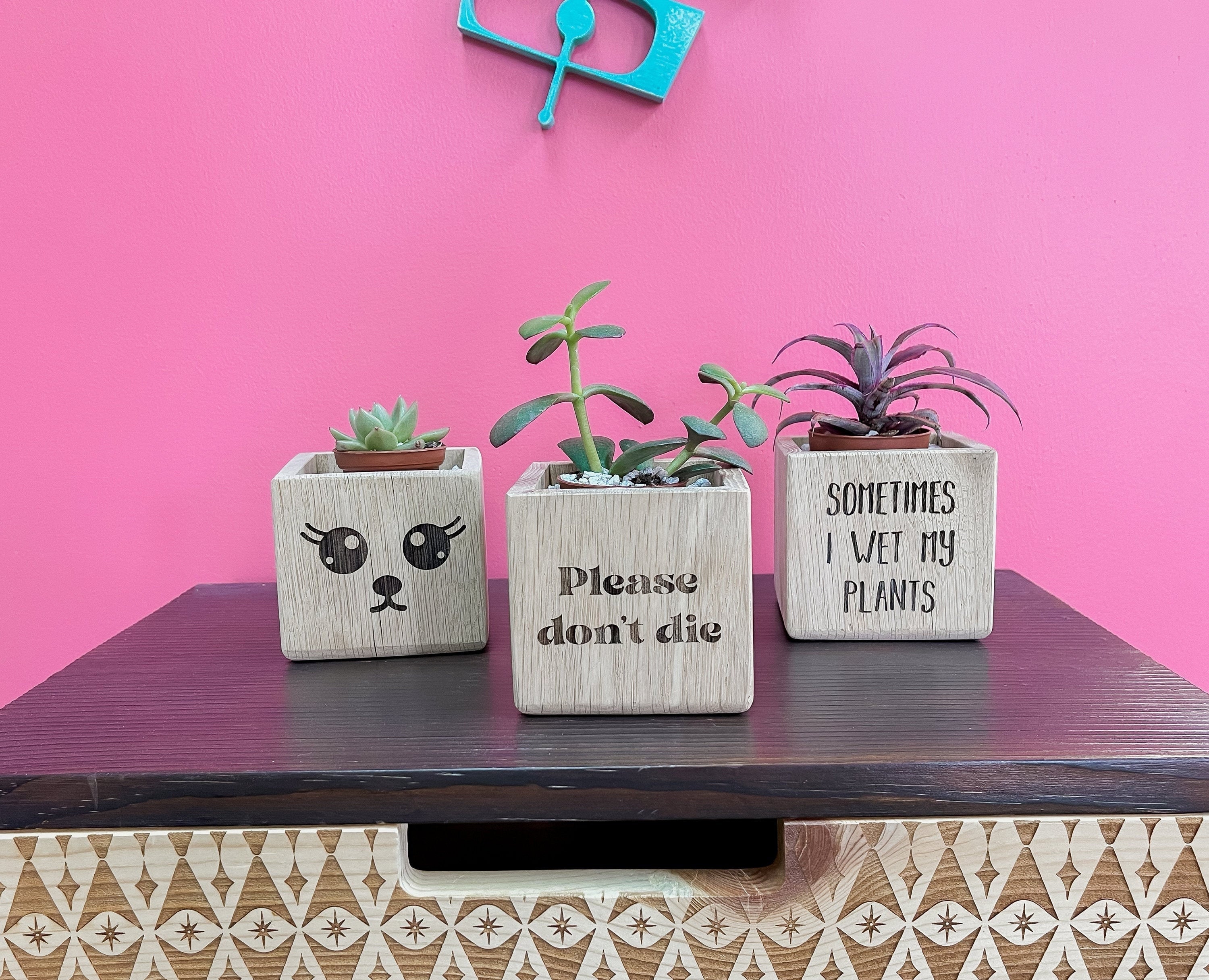 Succulent Planter, Recycled Wood Plant Holder, Sometimes I Wet my Plants, Wood Planter, Cute Planter, Funny Plant Holder, Cactus Holder,