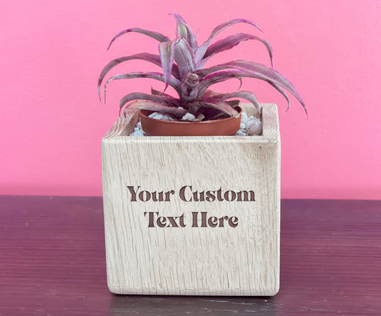 Custom Succulent Planter, Recycled Wood Plant Holder, Personalized Gift, Wood Planter, Cute Planter, Funny Plant Holder, Cactus Holder