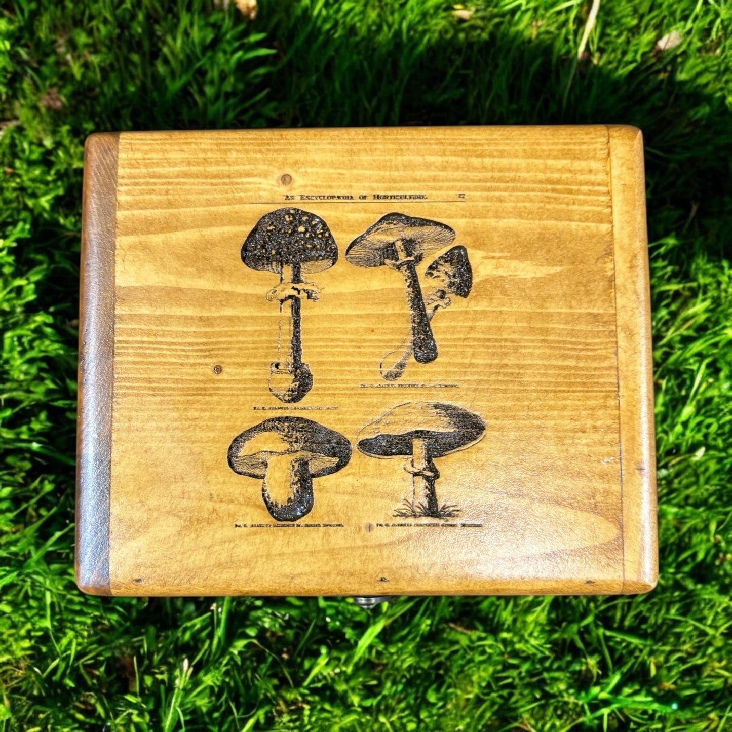 Rustic Mushroom Box | Handmade Keepsake Memory Box | Nature Gift